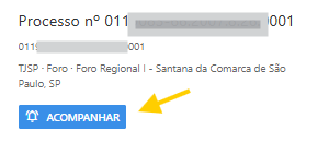 Painel lateral direito com os dados do processo encontrado e o botão acompanhar visível para incluir o processo no acompanhamento.